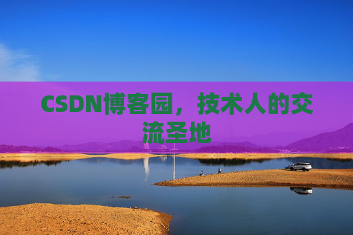 CSDN博客园，技术人的交流圣地